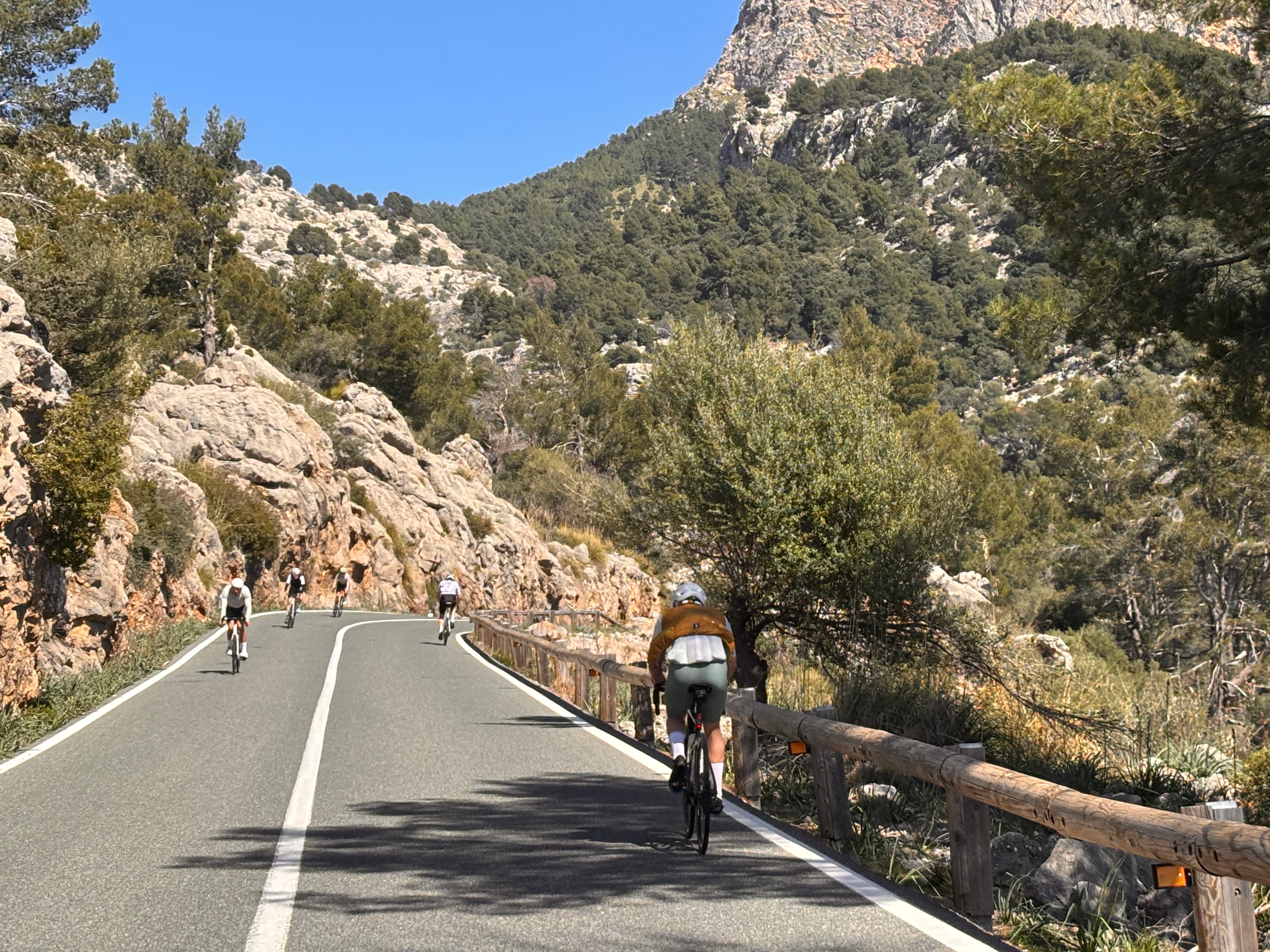Cycling Camps