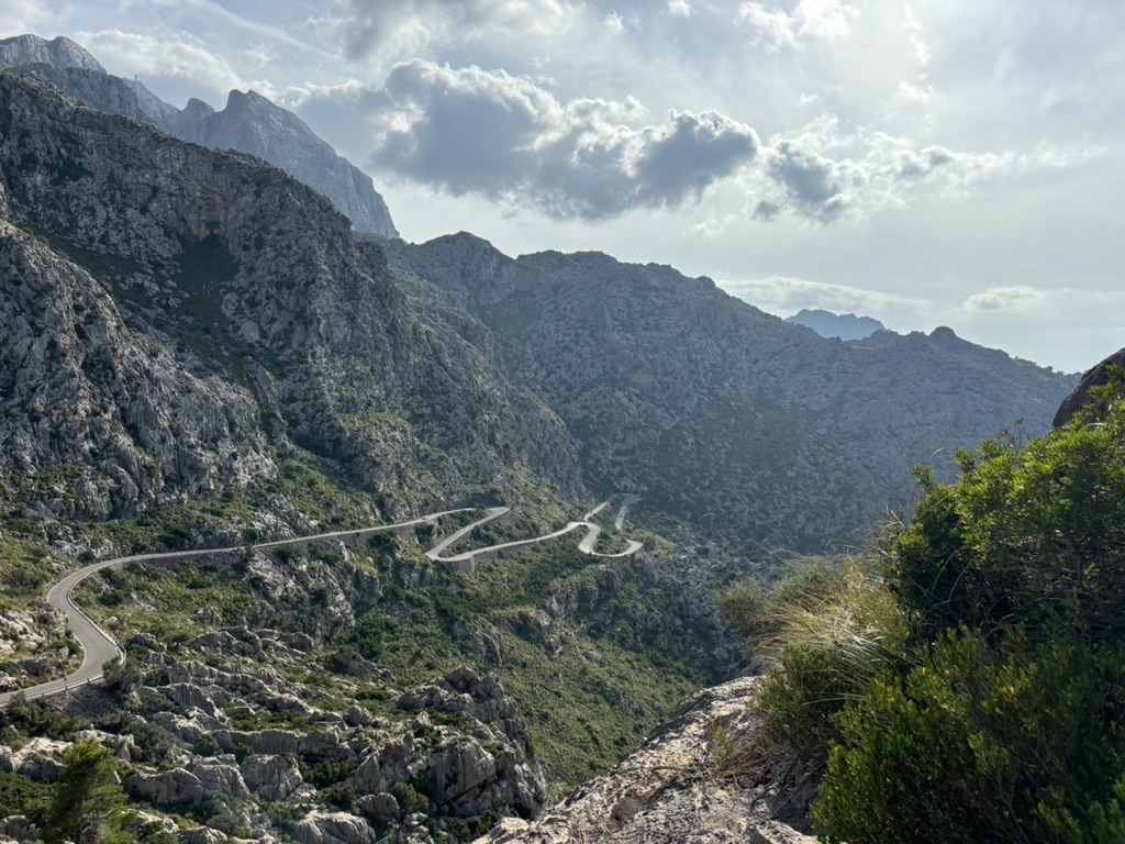 299B9D09-A39F-4FE1-90B0-3D3B8BDDD459_1_105_c