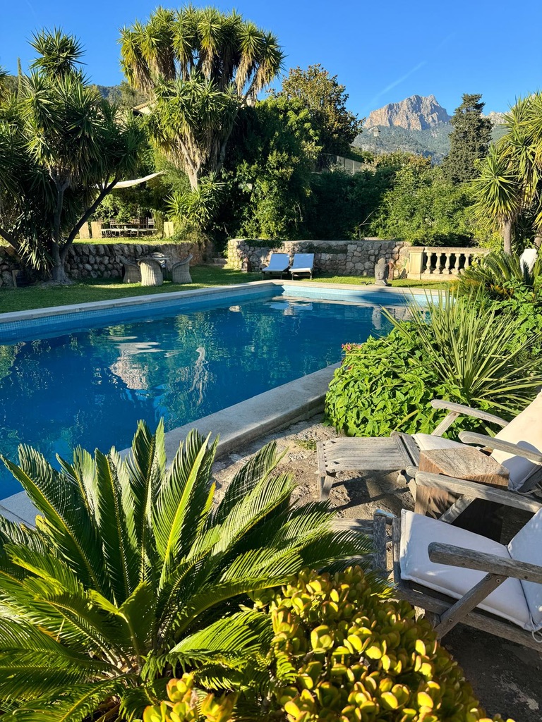 A791053A-A254-4B4C-B77C-8F7C2B35FDD7_1_105_c