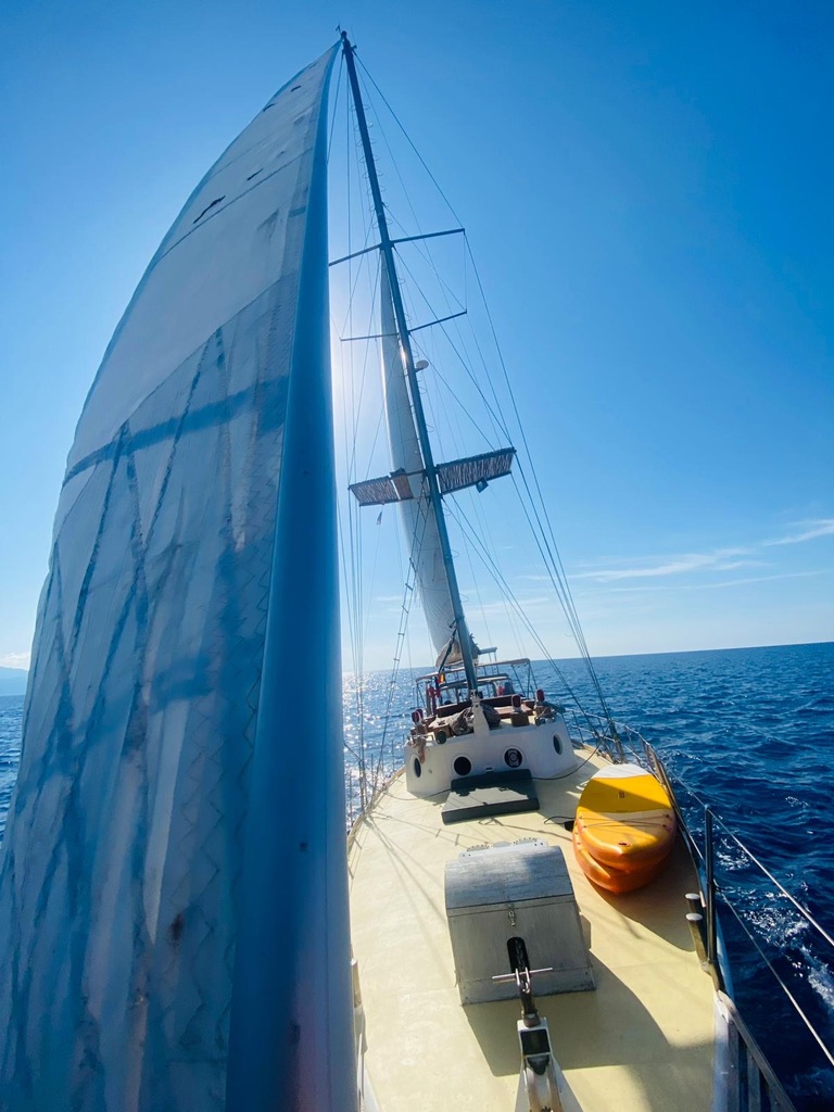 F362A230-E061-40FD-B450-F951120CD472_1_105_c