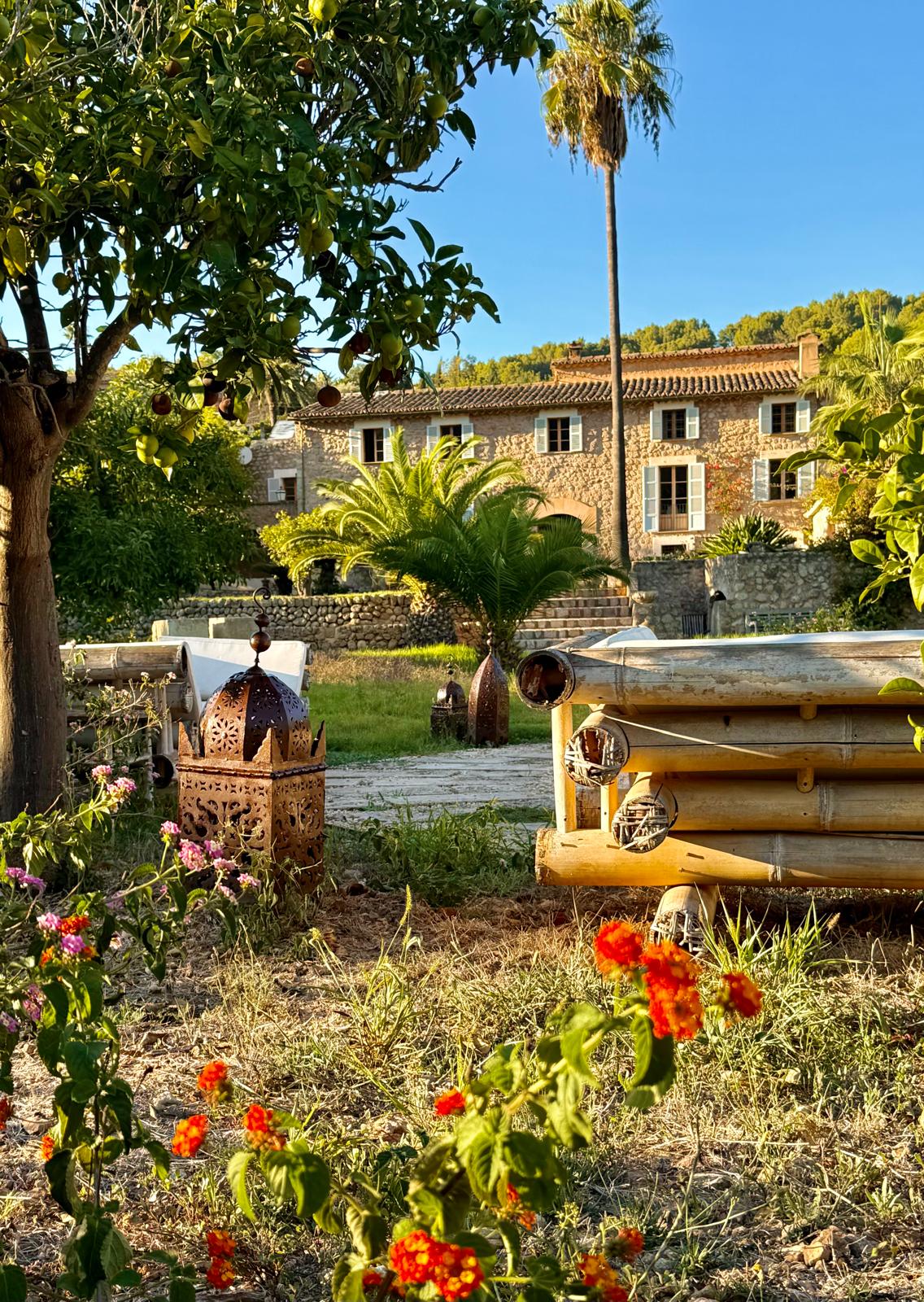 PHOTO-2025-10-05-19-29-28 2