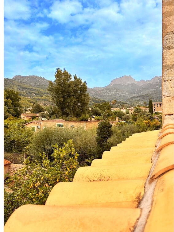 2E3458F1-17B8-4FA9-A736-104D44B7FDF0