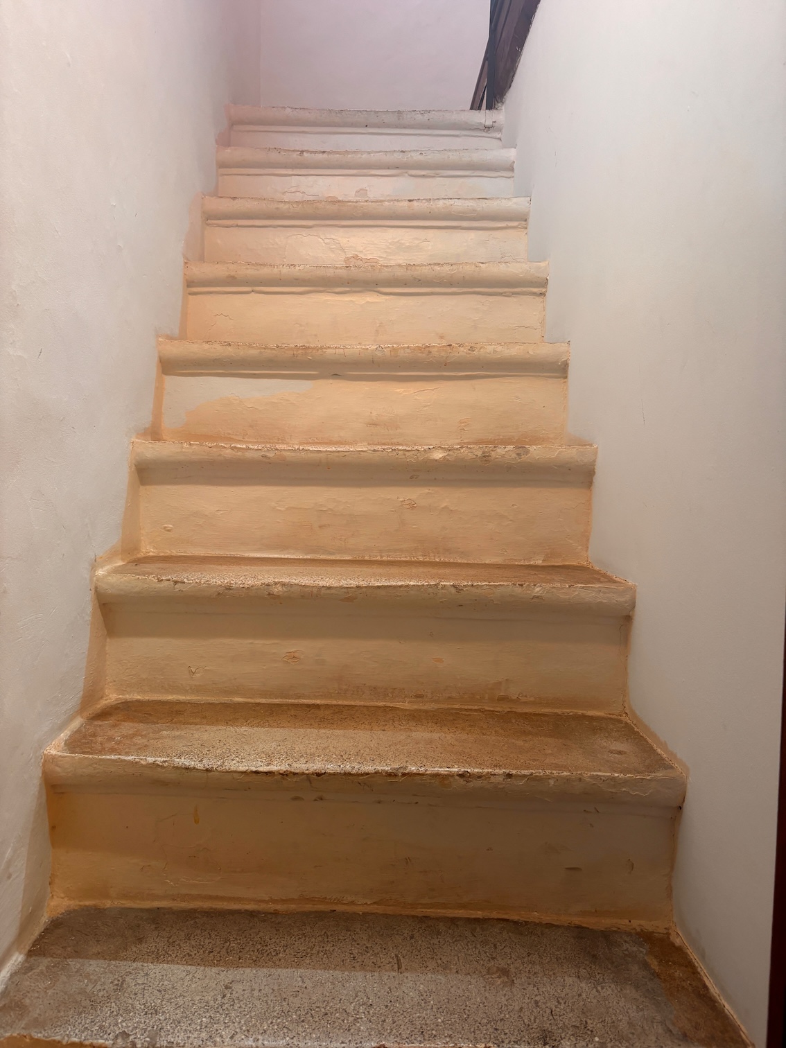 92327C18-3CA8-4DB1-9909-32BC56EB7832