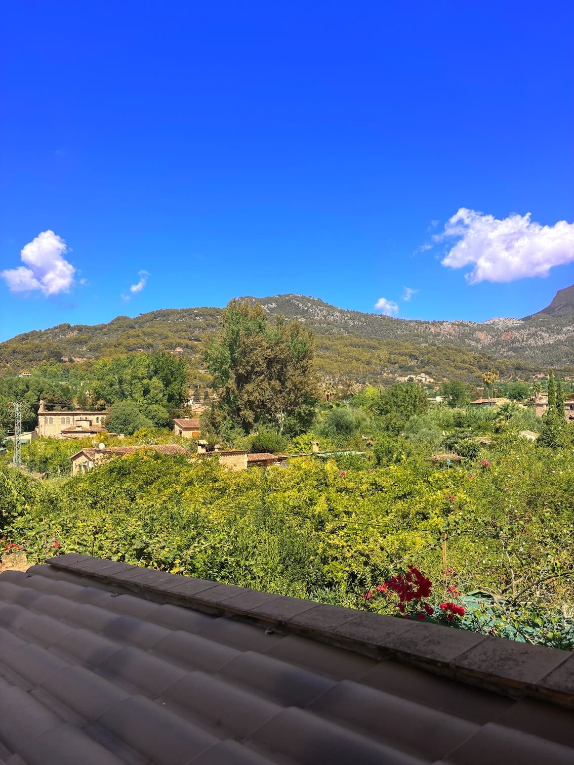 99B2C6E4-982C-4025-8E69-F727C77CFA9A