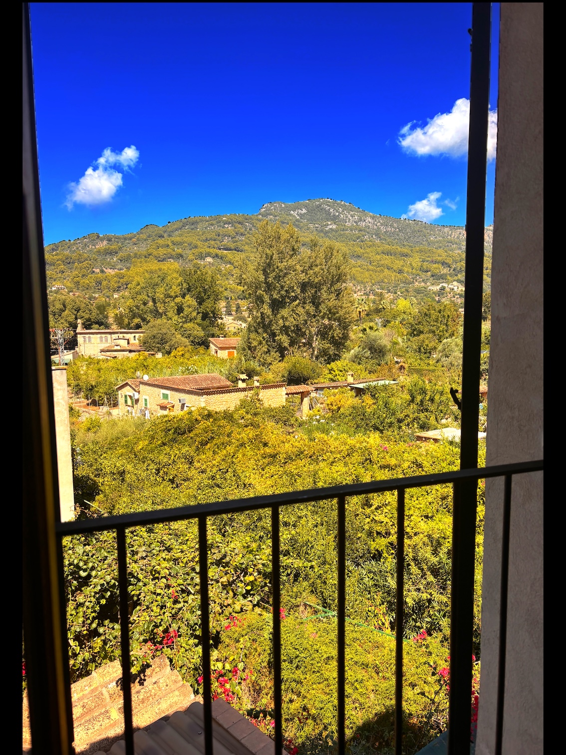 EDDF8E8C-5BA2-47A3-B7AC-98149D0F218F