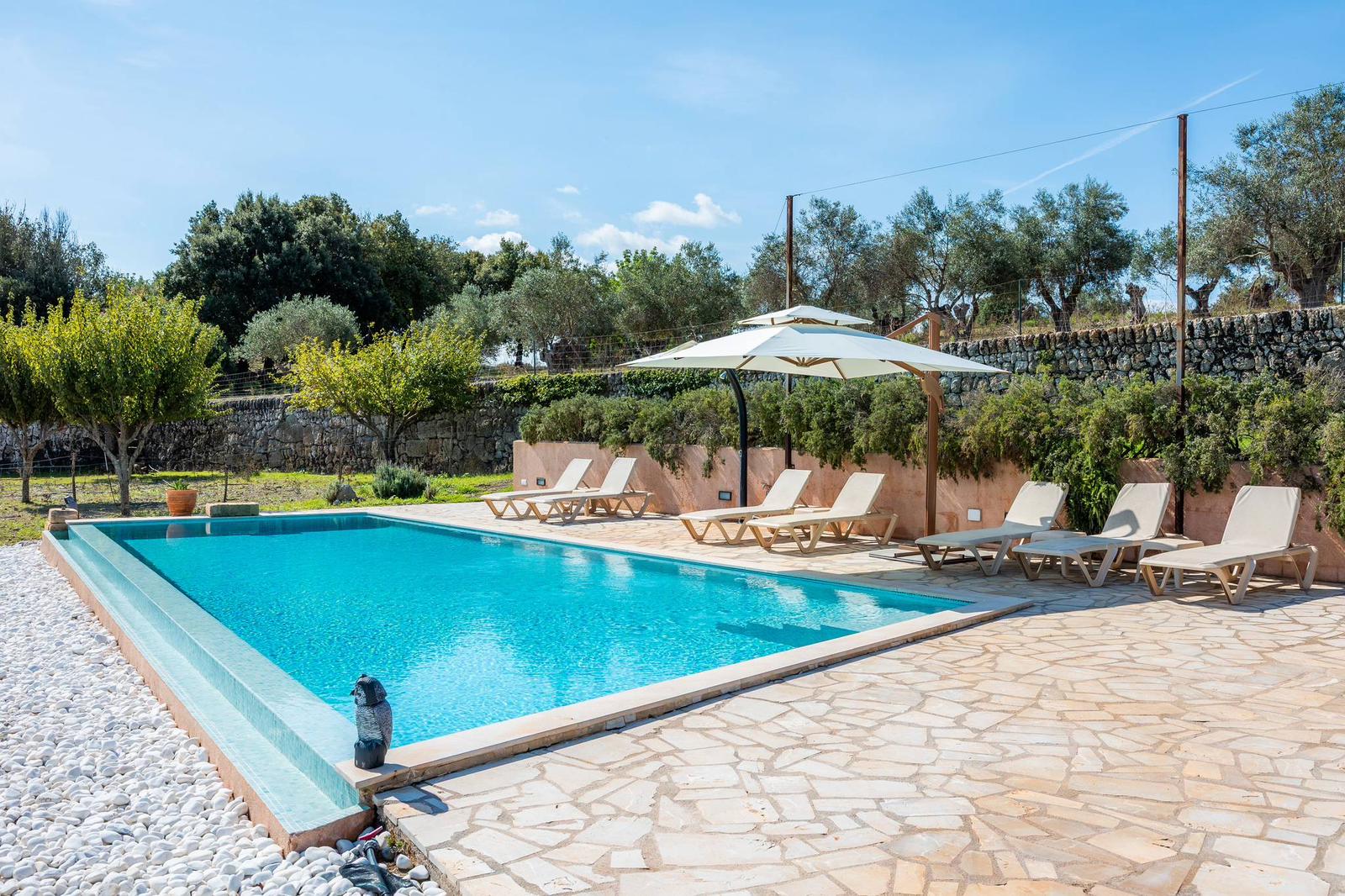 PHOTO-2026-01-24-14-28-42 4