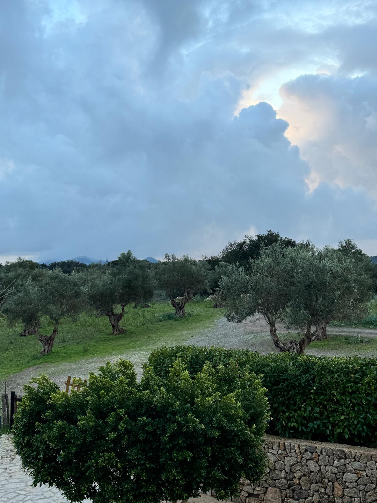 PHOTO-2026-01-24-14-29-00