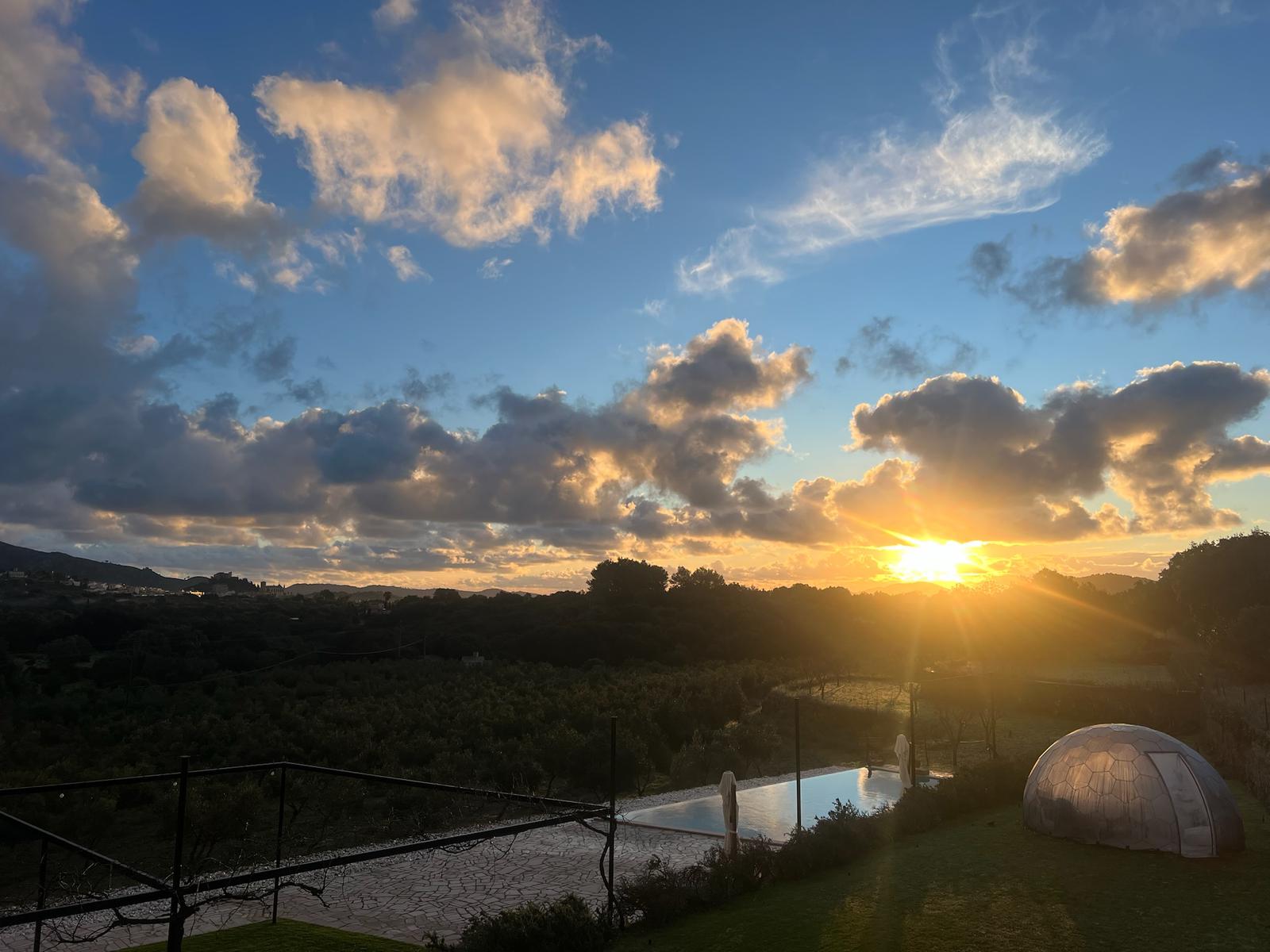 PHOTO-2026-01-24-14-29-06