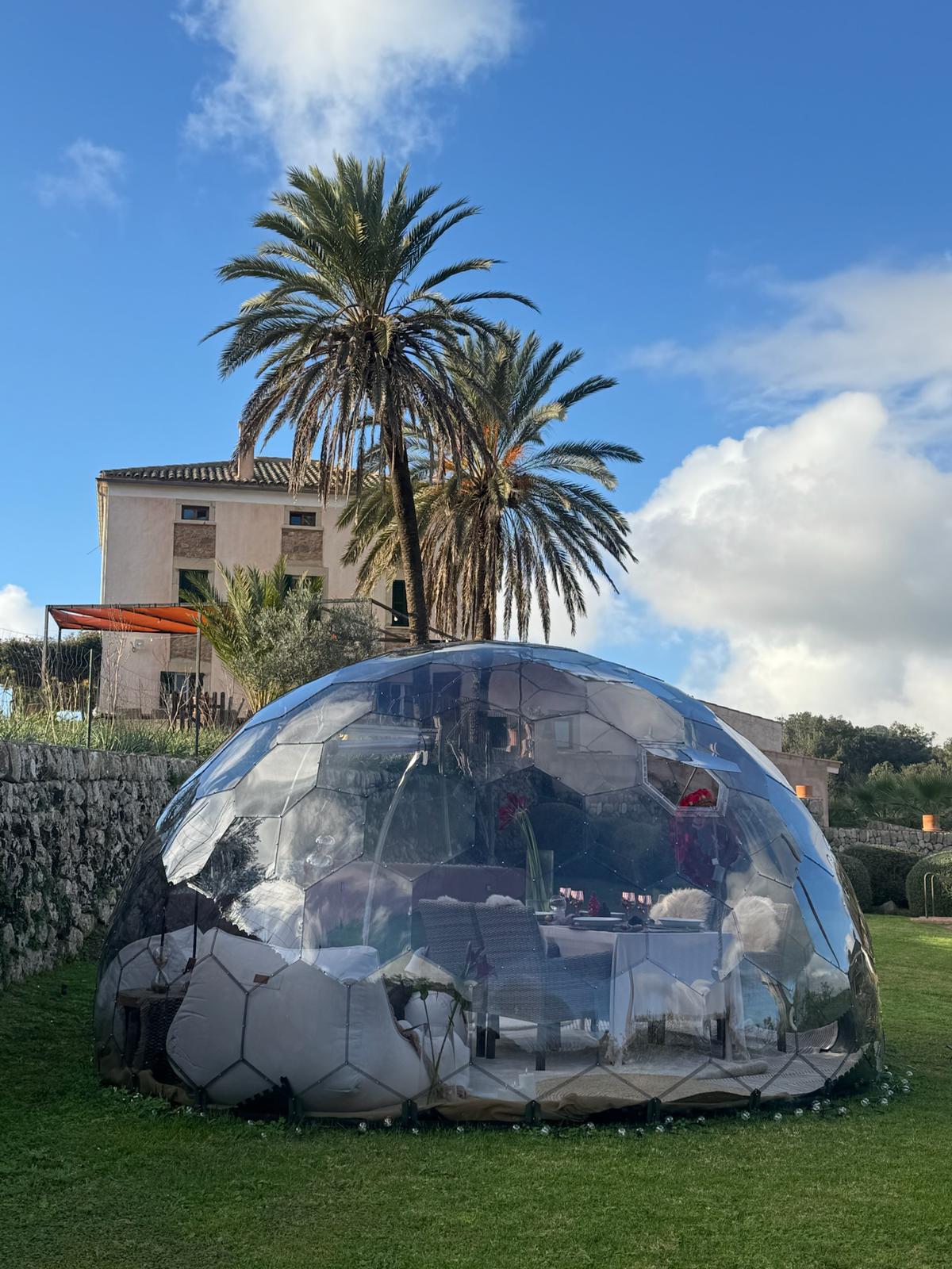 PHOTO-2026-01-24-14-29-06 2