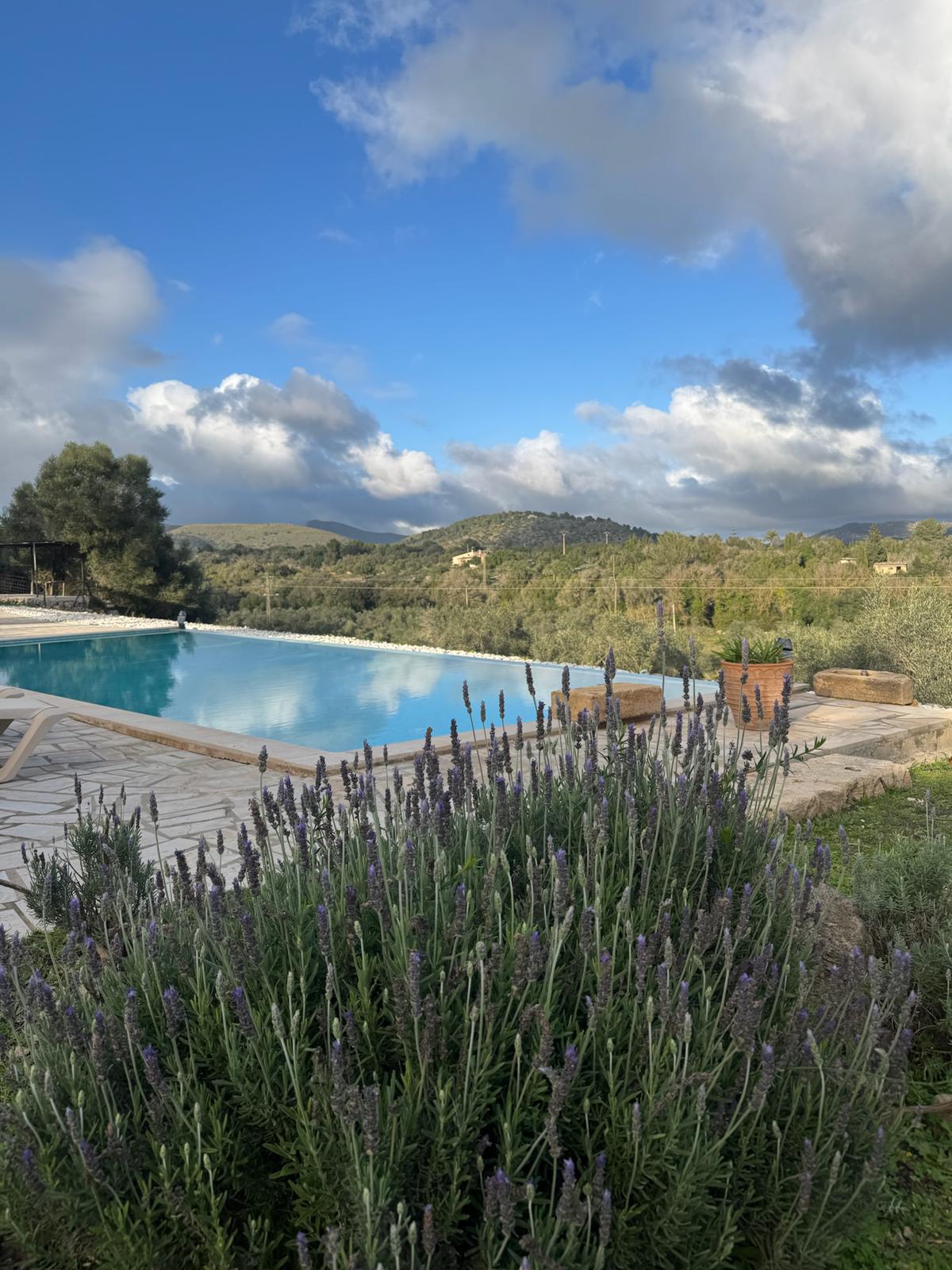 PHOTO-2026-01-24-14-29-06 3