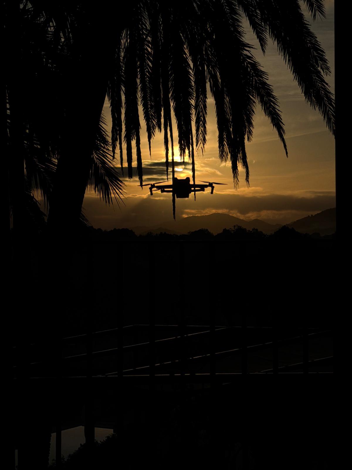 PHOTO-2026-01-24-14-29-07 3