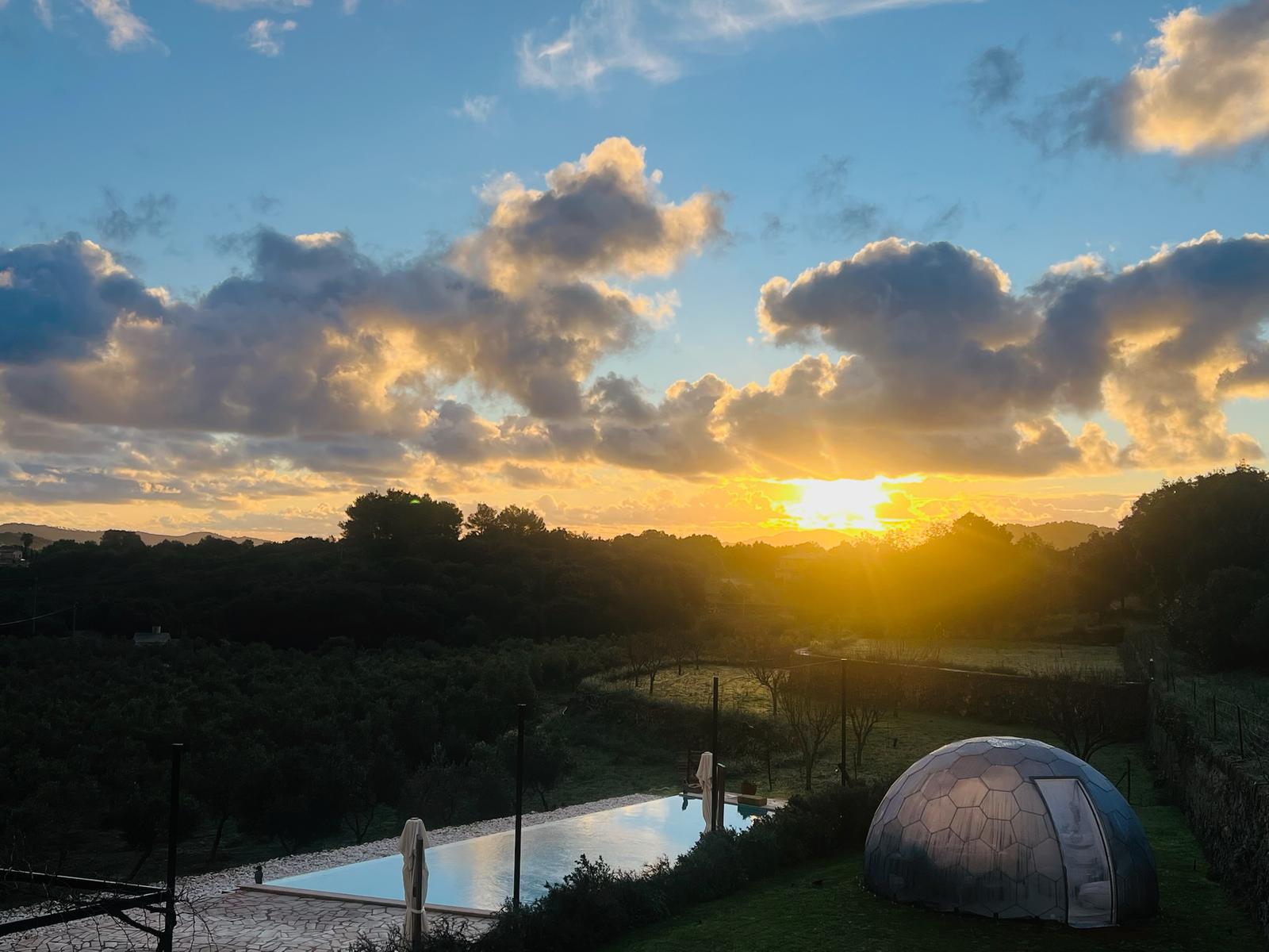 PHOTO-2026-01-24-14-29-07 4