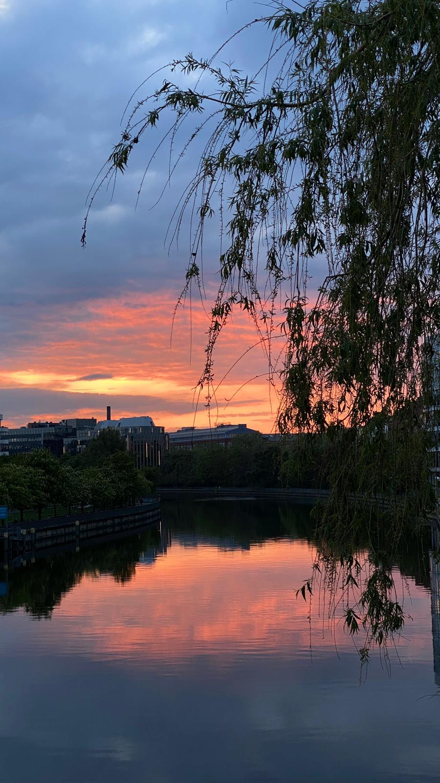 PHOTO-2026-02-02-22-49-35 4