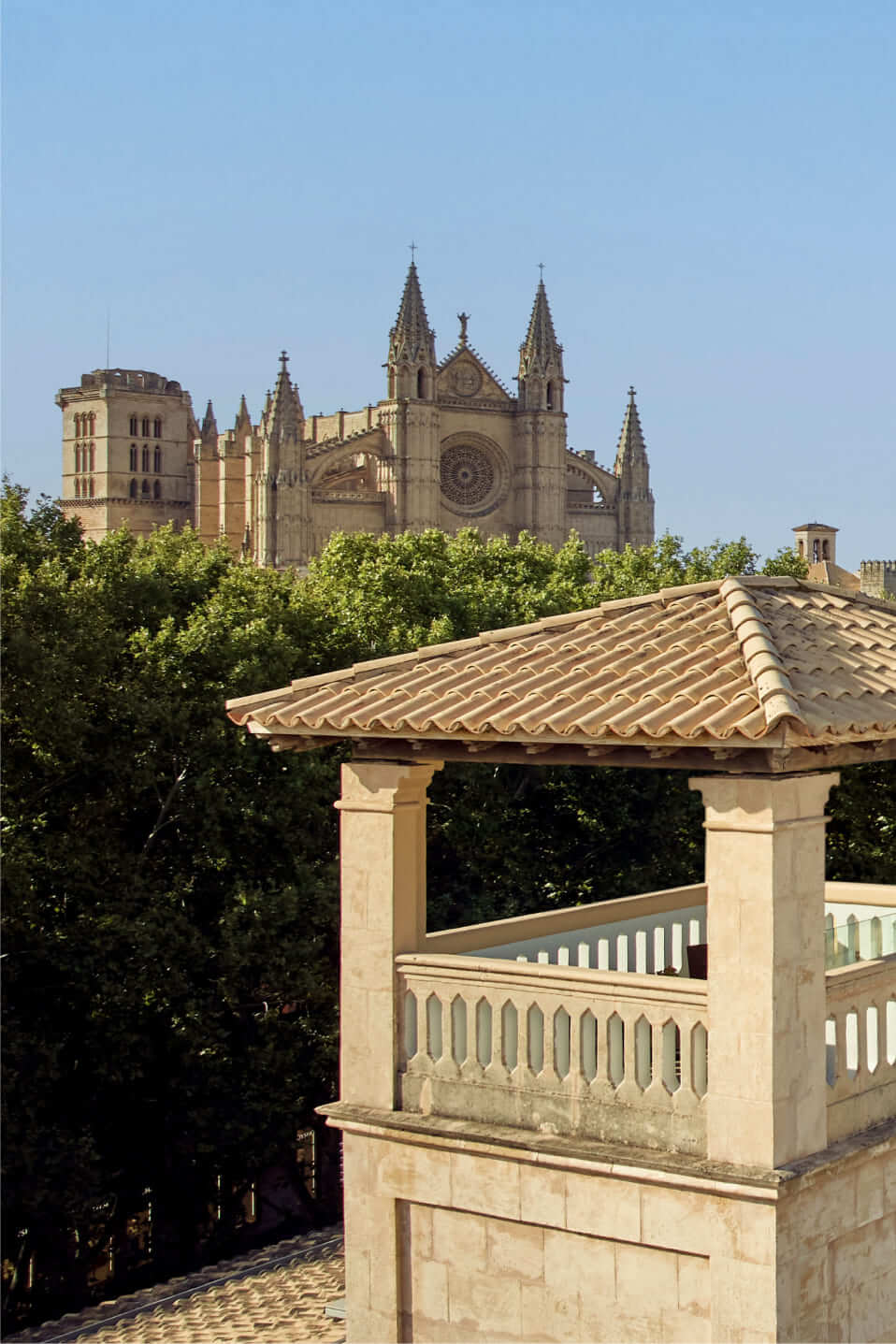 home-wellness-can-alomar-it-mallorca-desktop